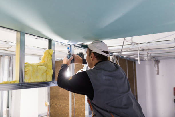 Best Geographic-Specific Insulation Services in Saegertown, PA